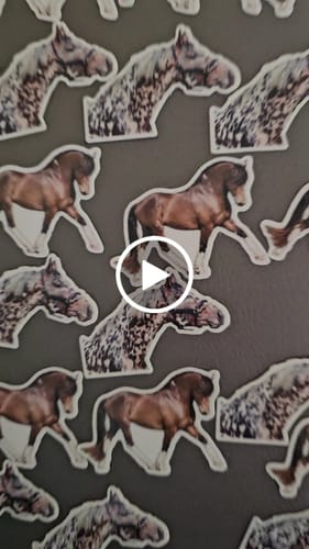 Customer video review of 100 - 3" Custom Vinyl Stickers