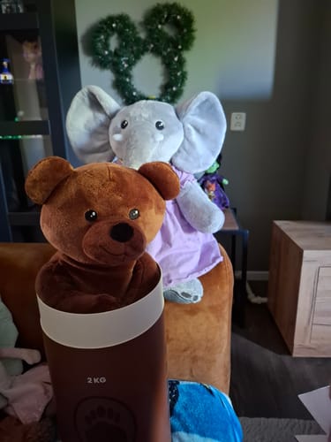 Recensent toont de Beer Verzwaringsknuffel in de verpakking, met een pluchen olifant op de achtergrond.