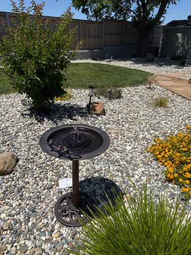 Customer photo review of Fontana Solar Panel/Water Pump ONLY