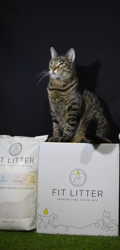 Customer photo review of Fit Litter