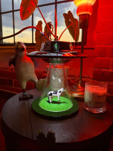 Customer photo review of The Original Alien Abduction Lamp - LIMITED STOCK