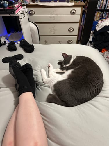 Customer photo review of MarshMellow Comforter