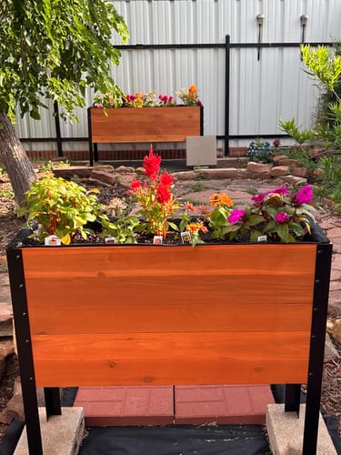 Customer photo review of 11.5" x 36" Raised Garden Bed - 30" TALL / Select Grade