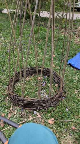 Customer photo review of The Willow Plant Support (3.8 Feet Tall) PRE-ORDER - Ships March 31st