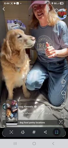 Customer photo review of Certified Treat Dispenser T-Shirt