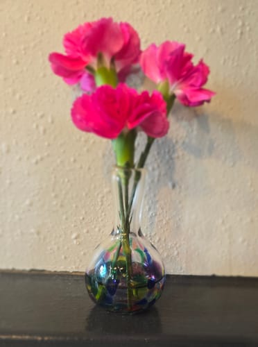 Customer photo review of Little Emotional Support Vases
