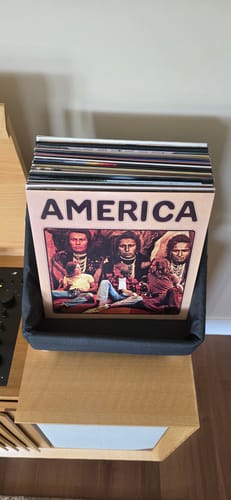 Customer photo review of Record Roots Tabletop Storage System