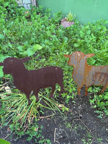 Customer photo review of Gartenstecker Schaf