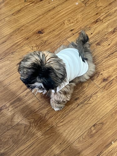 Customer photo review of Hazelnut Stripe | Summer Breeze Cooling Vest
