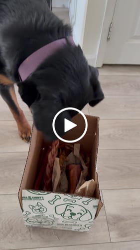Customer video review of Smoked Beef Marrow Bone