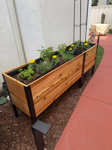 Customer photo review of 18" x 48" Raised Garden Bed - 30" TALL - Select Grade