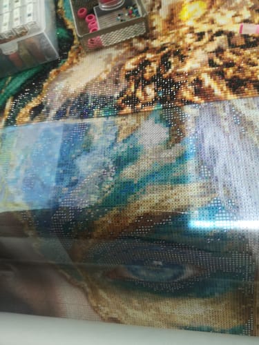 Customer photo review of 5D Diamond Painting – Dual Soul Enchantress