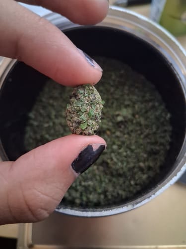 Customer photo review of Girl Scout Cookies Shake (BOGO)
