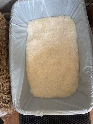 Customer photo review of 1 Month Supply – 2 Cat