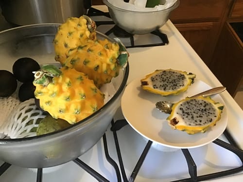Customer photo review of Yellow Dragon Fruit