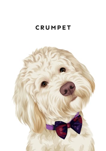 Reviewer's Digital Pet Portrait of a fluffy white dog named Crumpet wearing a bow tie and tilting its head.