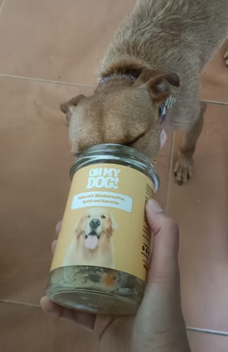 Customer photo review of OH MY DOG! Huhn