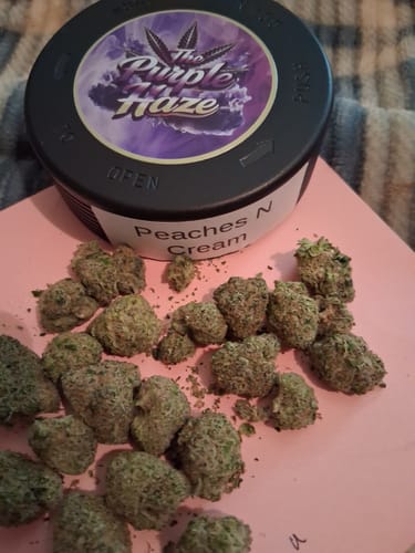 Customer photo review of Peaches & Cream