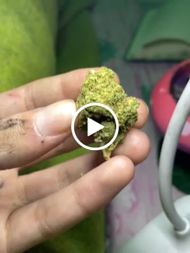 Customer video review of CALI SUPREME THCA Flower