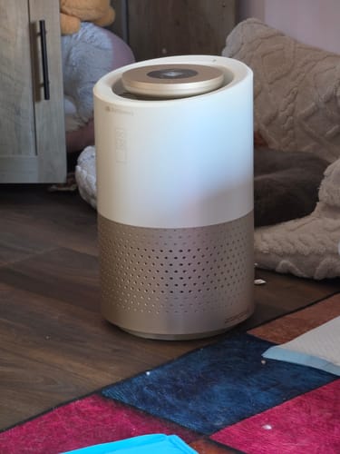 Customer photo review of Pet Air Purifier