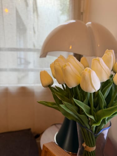 Customer photo review of Tulipes - Blanc (25 Tiges)