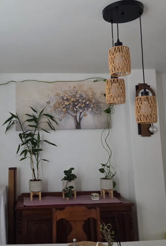 El cliente muestra su cuadro 'Árbol de mariposas' colgado en la pared sobre un mueble de madera con plantas.