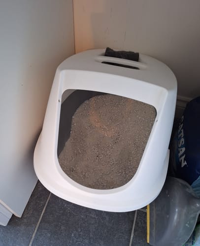 Customer photo review of 3 Month Supply - 1 Cat