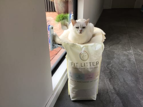 Customer photo review of Fit Litter