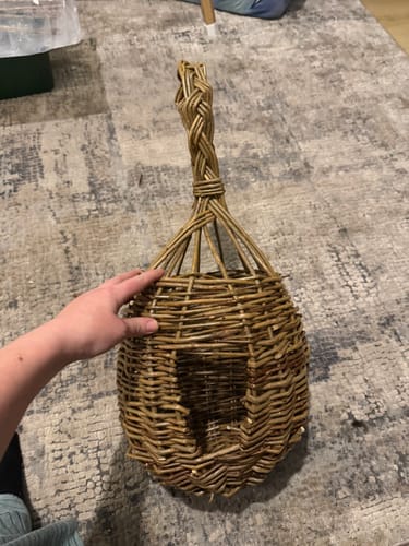 Customer photo review of The Bird Box - Course and Kit