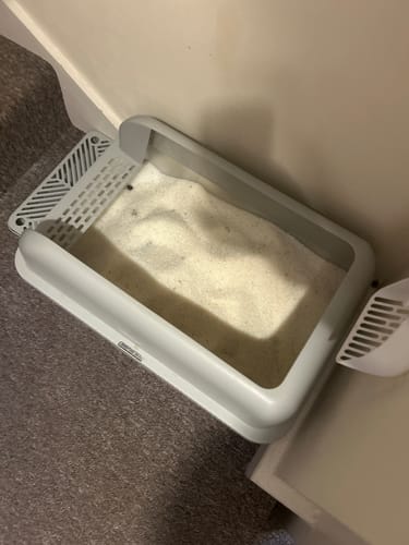 Customer photo review of Fit Litter PLUS - 1 month supply - 2 cat