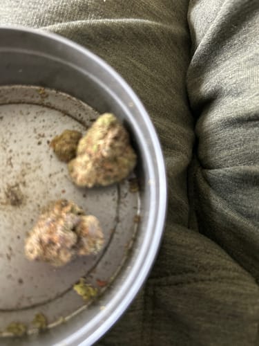Customer photo review of Black Ice THCA Flower Ounce (28g)