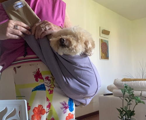 Customer photo review of Borsa Trasporto Animali a Tracolla(Preordine con spedizione entro il 14 giugno)