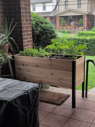 Customer photo review of 18" x 48" Raised Garden Bed - 30" TALL - Select Grade