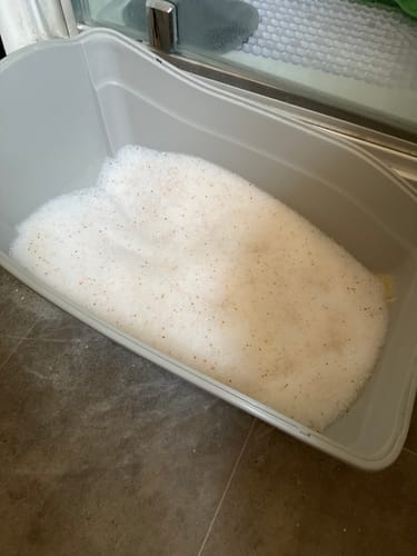 Customer photo review of 3 Month Supply - 1 Cat