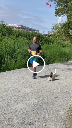 Customer video review of Non-Stop Dogwear Rush Harness