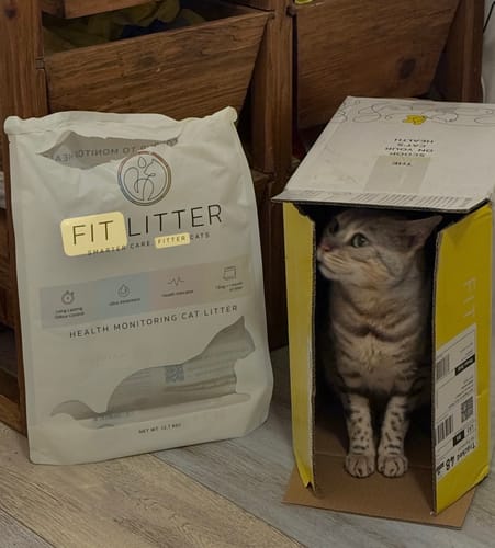 Customer photo review of Fit Litter PLUS - 1 month supply - 1 cat
