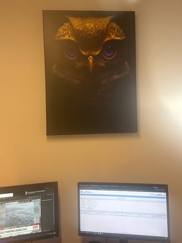 Customer photo review of Magical Owl With Purple Eyes