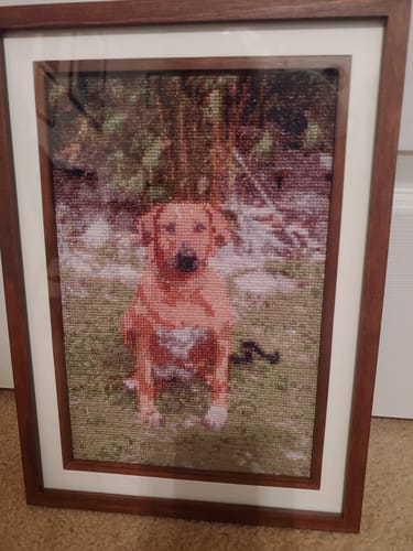 Customer photo review of Custom Cross Stitch Tapestry Kit | Just Upload Your Photo!