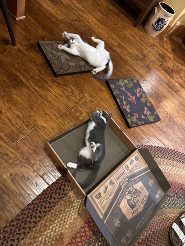 Customer photo review of Strawberry Vine - Luxury Cat Scratching Board