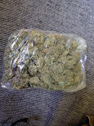 Customer photo review of Cheap THCA Flower Pound (450g)