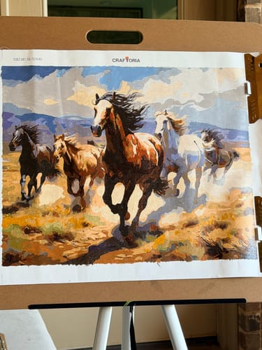 Customer photo review of Desert Horse Gallop