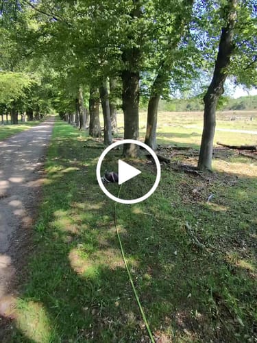 Customer video review of 10m Recall Billowthane® Lead | Waterproof | Neon Green