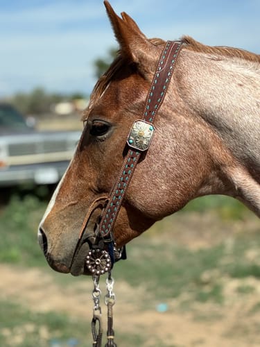 Customer photo review of Katherine Headstall