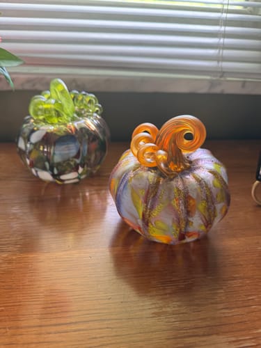 Customer photo review of Daily Pumpkin 208 Squat