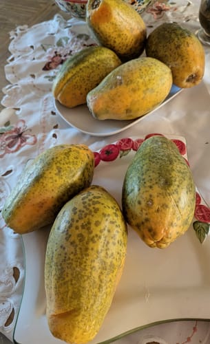Ein Kunde zeigt mehrere gefleckte Papayas aus der Retterbox auf zwei weißen Tellern.