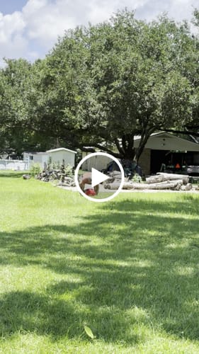 Customer video review of Strongman Sandbag