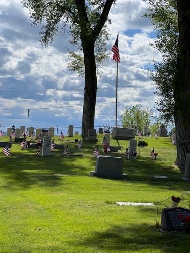 Customer's photo of a cemetery on a green hill, with American flags placed at numerous gravesites.