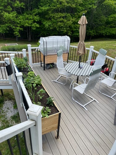 Customer photo review of 18" x 48" Raised Garden Bed - 30" TALL / Garden Grade