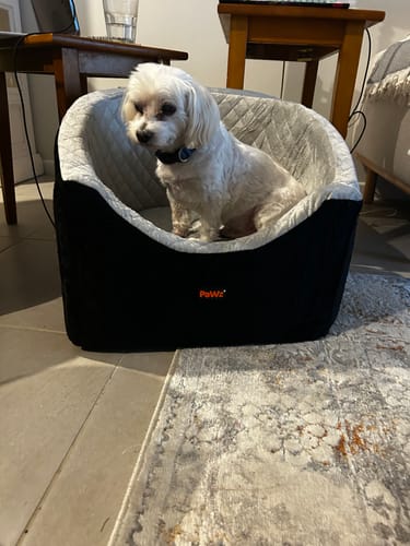Customer's small white dog sitting in the black Dog Car Booster Seat with a quilted grey interior.