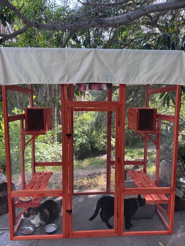 Customer photo review of Coziwow 62″L Walk-In Wooden Cat Enclosure